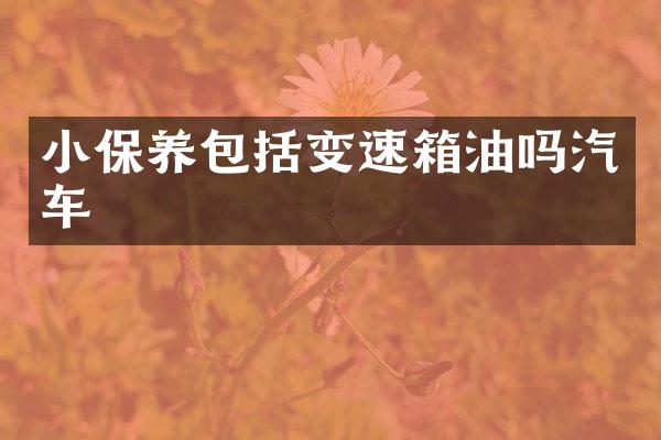 小保养包括变速箱油吗汽车