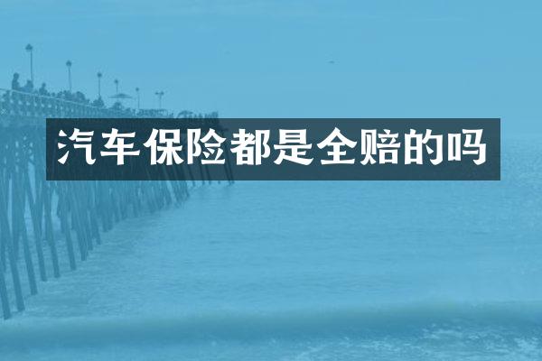 汽车保险都是全赔的吗