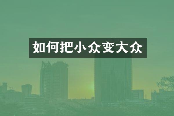 如何把小众变大众
