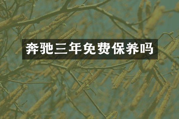 奔驰三年免费保养吗