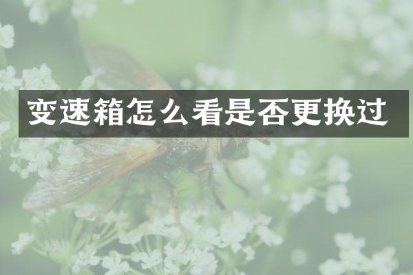变速箱怎么看是否更换过