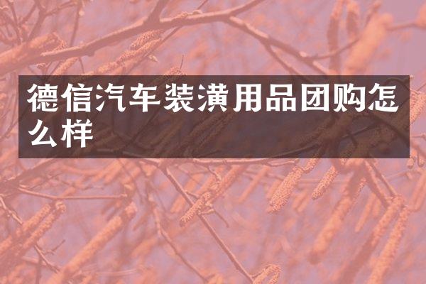德信汽车装潢用品团购怎么样