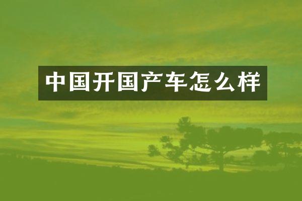 中国开国产车怎么样