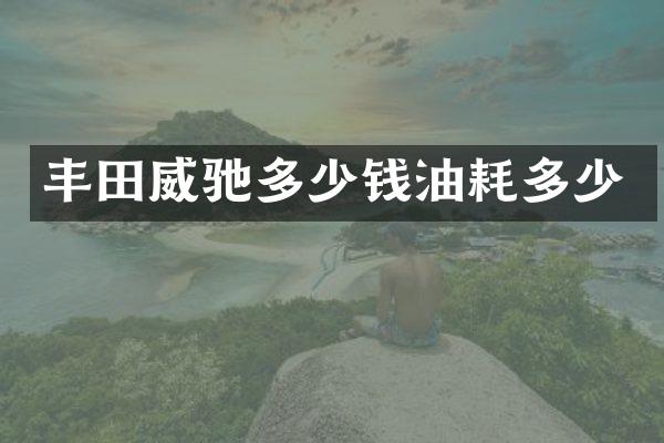 丰田威驰多少钱油耗多少