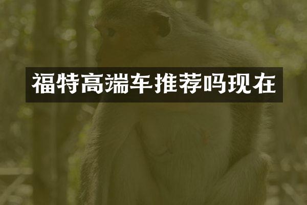 福特高端车推荐吗现在