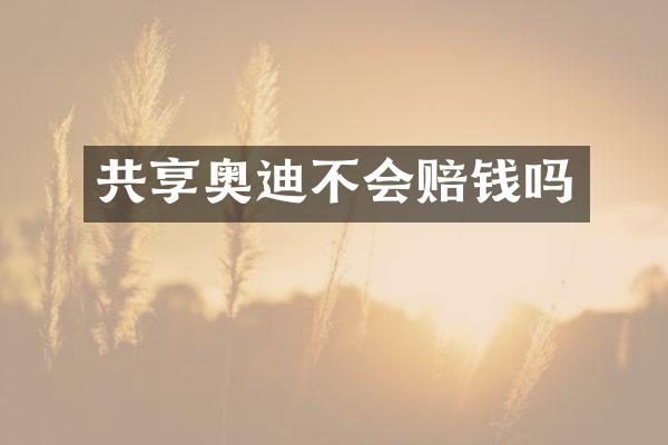 共享奥迪不会赔钱吗
