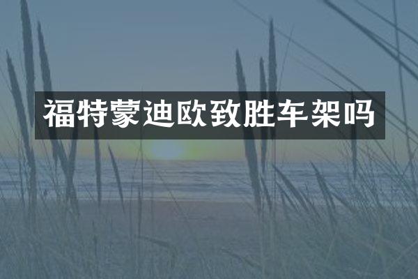 福特蒙迪欧致胜车架吗