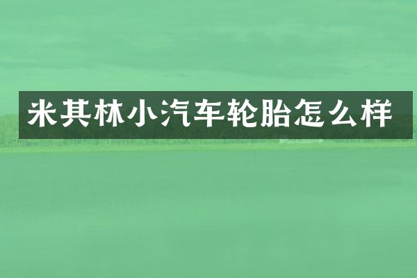 米其林小汽车轮胎怎么样