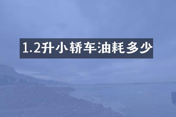 1.2升小轿车油耗多少