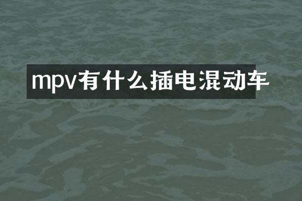 mpv有什么插电混动车