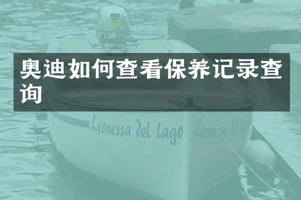 奥迪如何查看保养记录查询