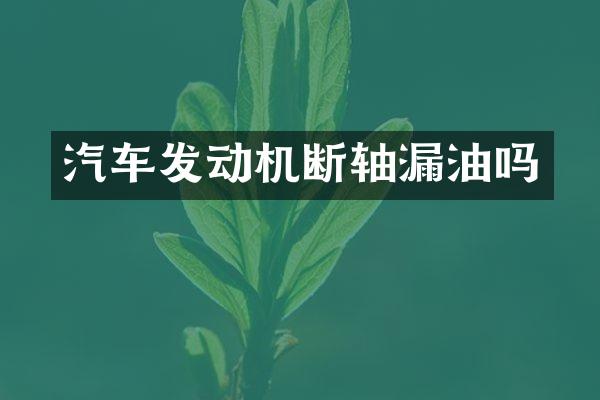 汽车发动机断轴漏油吗
