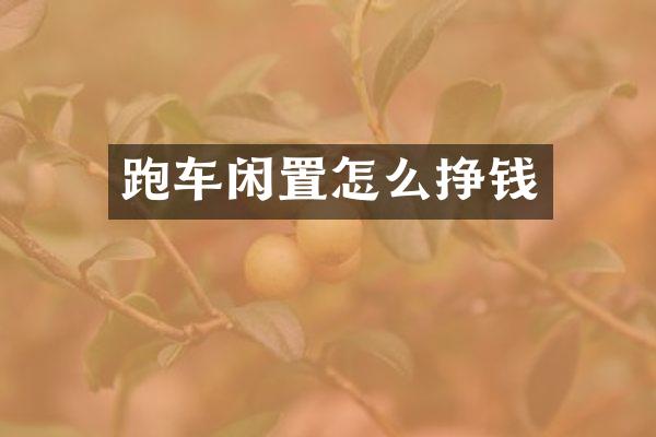 跑车闲置怎么挣钱