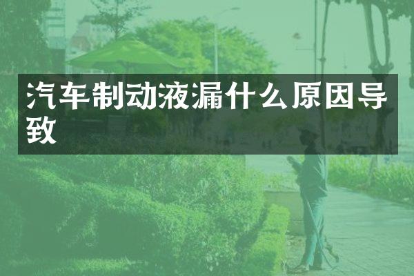 汽车制动液漏什么原因导致