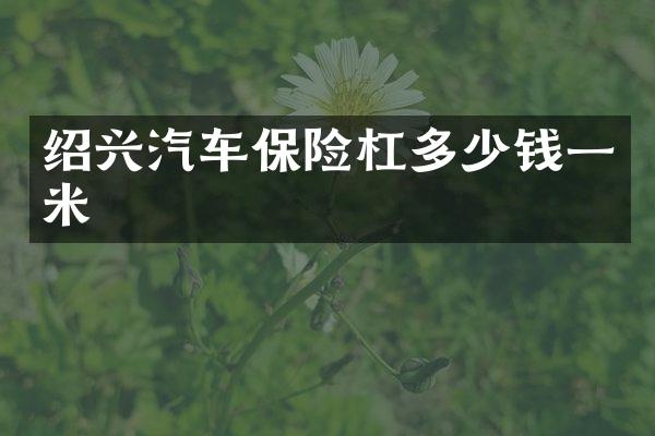 绍兴汽车保险杠多少钱一米