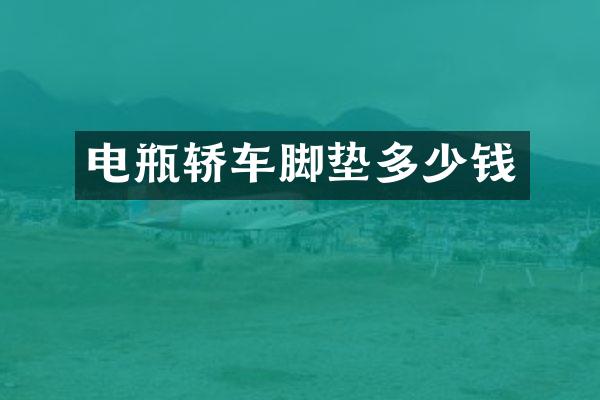 电瓶轿车脚垫多少钱