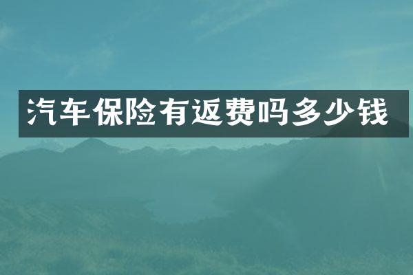 汽车保险有返费吗多少钱