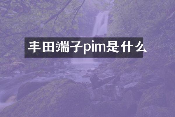 丰田端子pim是什么