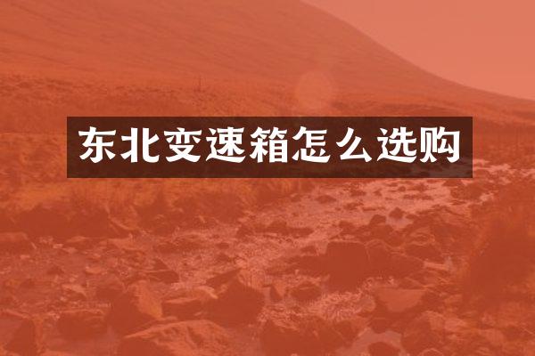 东北变速箱怎么选购