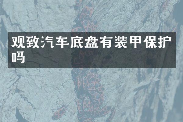观致汽车底盘有装甲保护吗