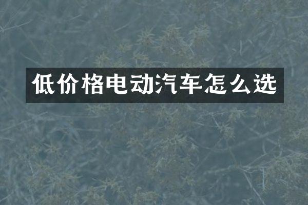 低价格电动汽车怎么选