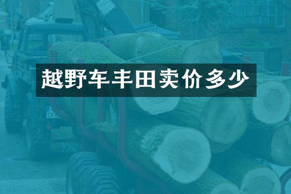 越野车丰田卖价多少
