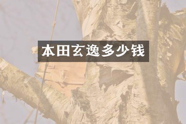 本田玄逸多少钱
