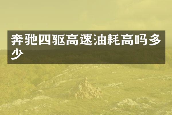 奔驰四驱高速油耗高吗多少