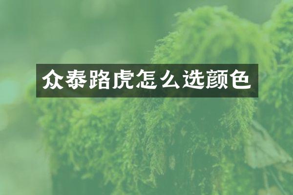 众泰路虎怎么选颜色