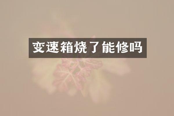变速箱烧了能修吗