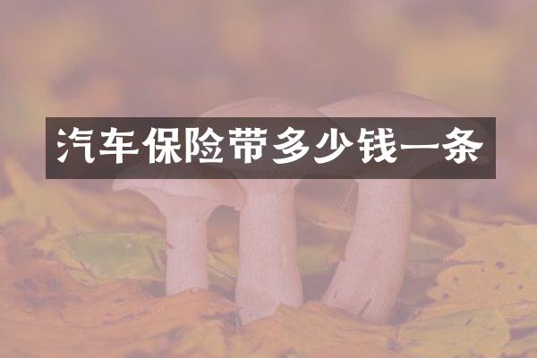 汽车保险带多少钱一条