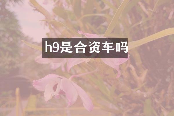 h9是合资车吗
