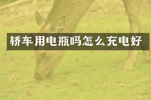 轿车用电瓶吗怎么充电好