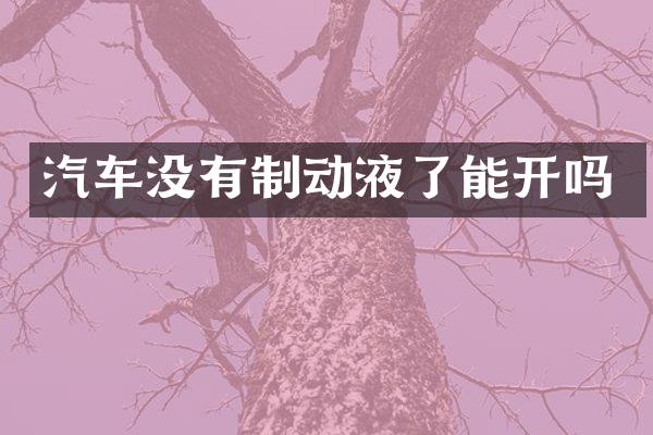 汽车没有制动液了能开吗