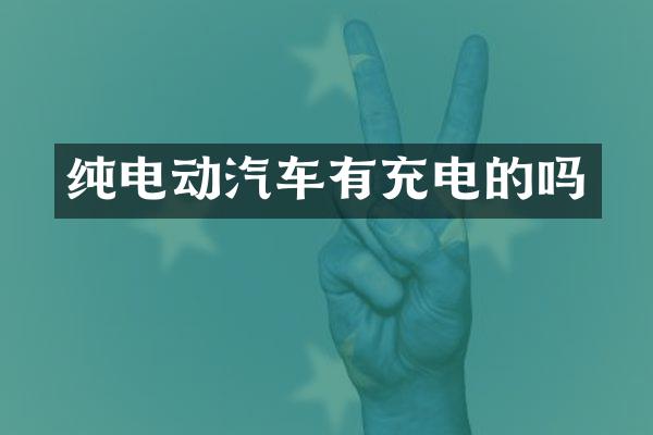 纯电动汽车有充电的吗