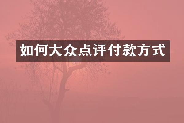 如何大众点评付款方式