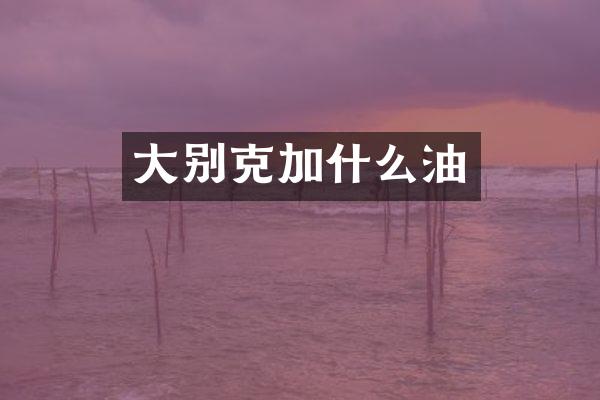 大别克加什么油