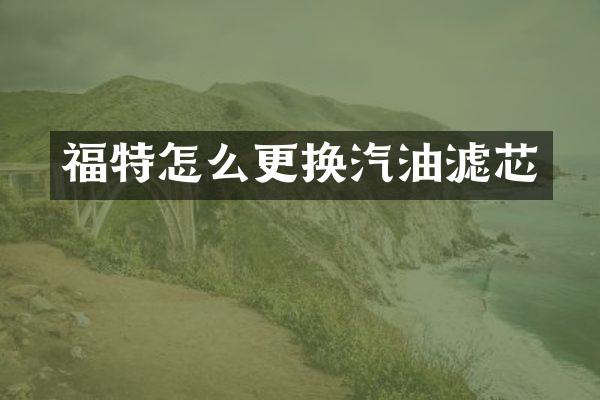 福特怎么更换汽油滤芯