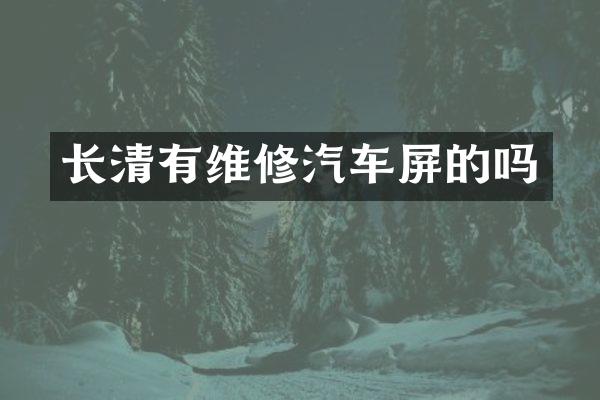 长清有维修汽车屏的吗