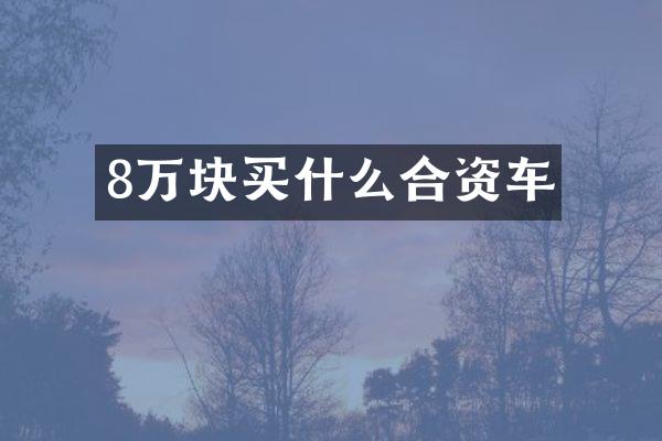 8万块合资车