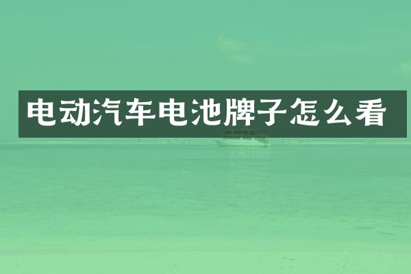 电动汽车电池牌子怎么看