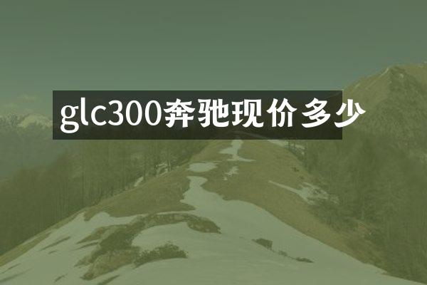 glc300奔驰现价多少