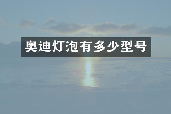 奥迪灯泡有多少型号
