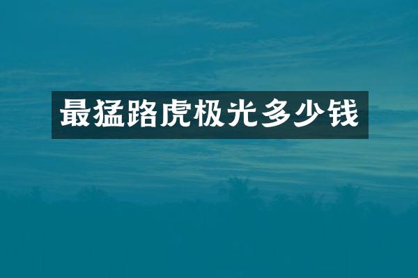最猛路虎极光多少钱