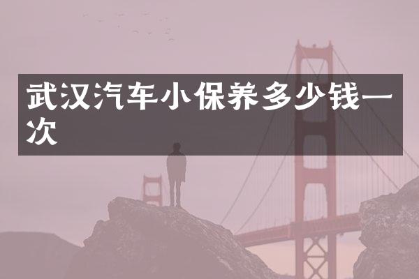 武汉汽车小保养多少钱一次