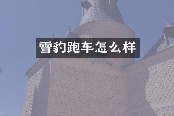 雪豹跑车怎么样