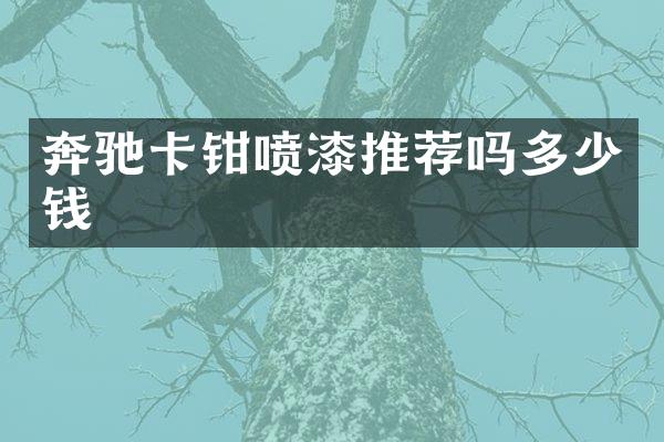 奔驰卡钳喷漆推荐吗多少钱