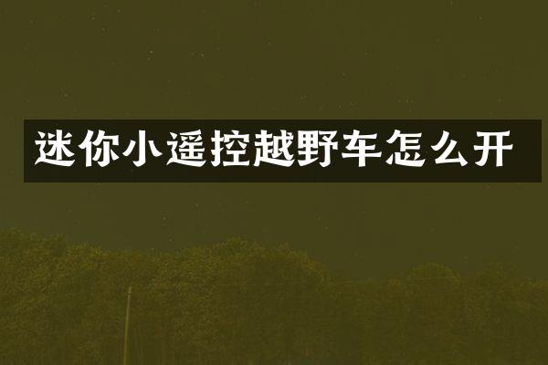 迷你小遥控越野车怎么开