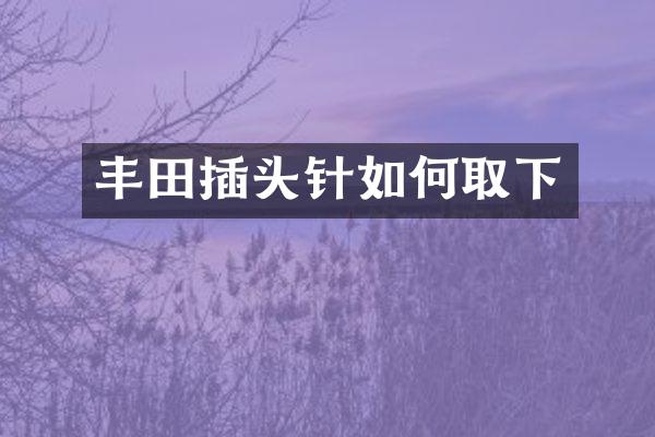 丰田插头针如何取下
