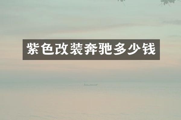 紫色改装奔驰多少钱